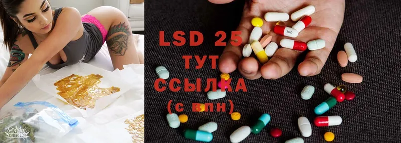 Лсд 25 экстази ecstasy  гидра онион  Елизово 