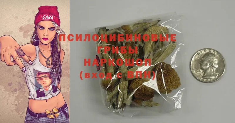 Галлюциногенные грибы MAGIC MUSHROOMS  Елизово 